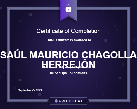 MLSecOps Foundations Certificate